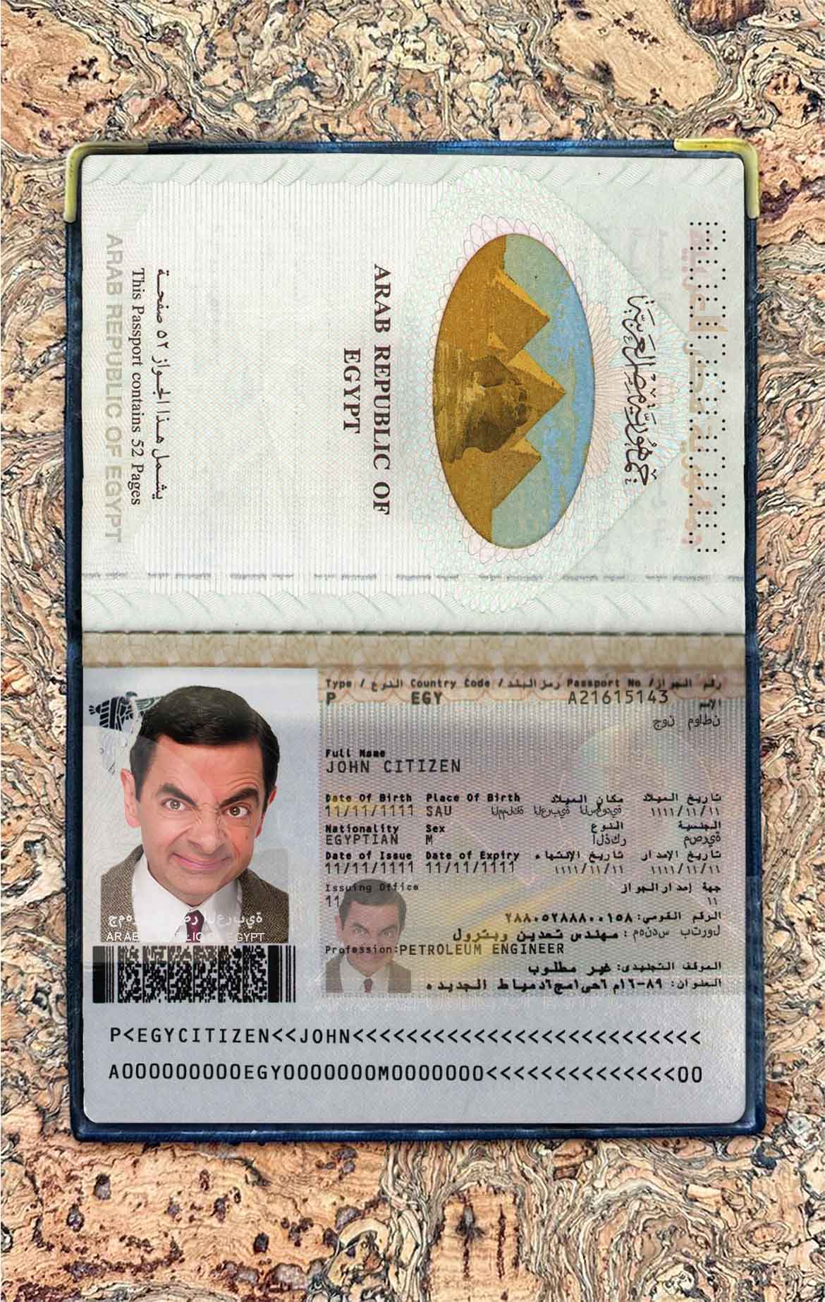 Egypt passport photo look PSD template